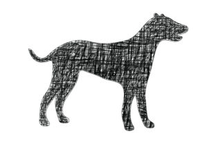 Dog with Black Line: A Designer’s Honest Review for Embroidery Projects
